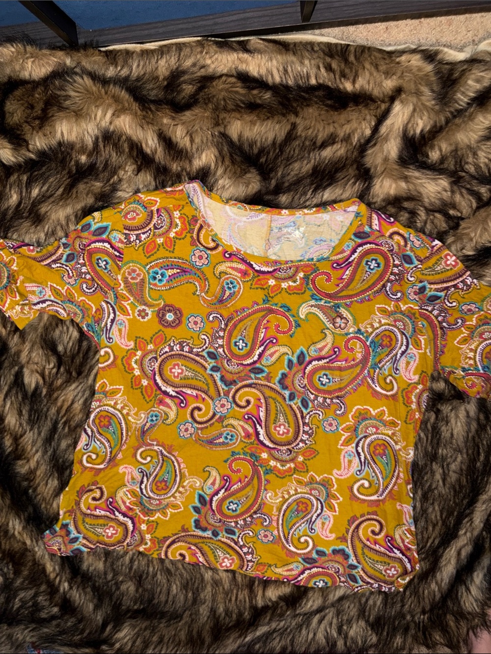 Terra & Sky Women's Colorful Paisley Short Sleeve Boho Casual Top Size 2X